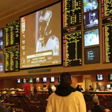 Read more about the article Güvenle Bahis: 2024’te İzlenecek En İyi Güvenilir Bahis Siteleri